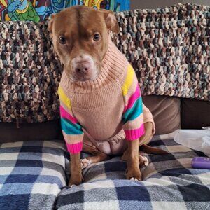 Meet your Posher, Jeramey